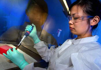 Testing Lab